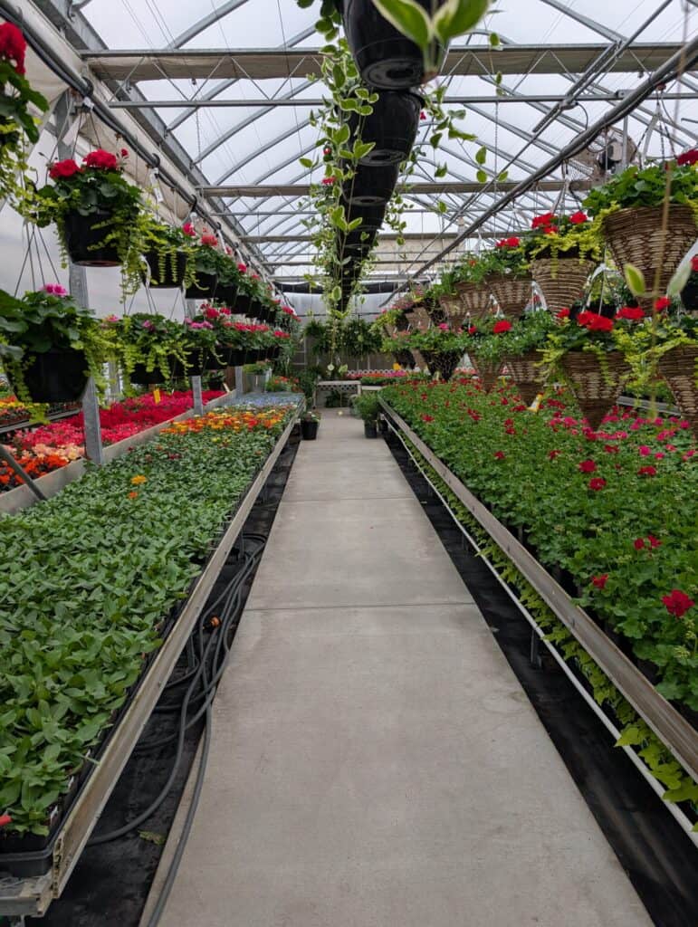 Reiff's Farm Market (53)