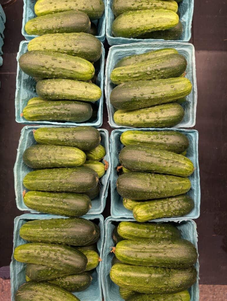 Reiff's Farm Market (71)