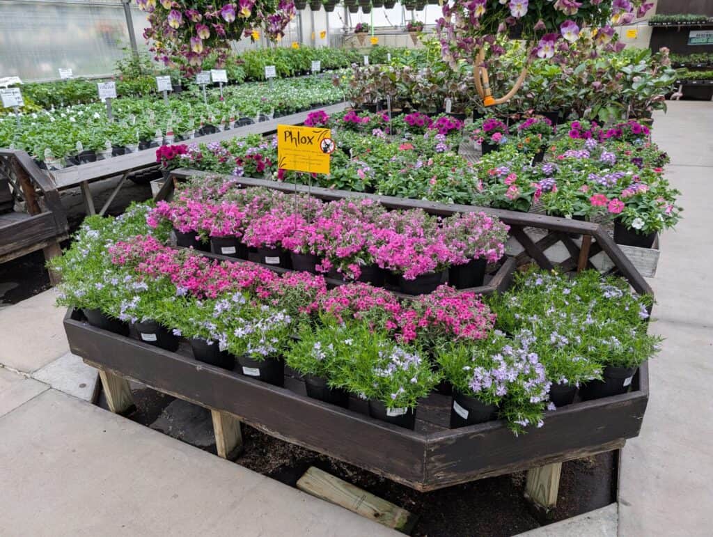 Briar Rose Greenhouse (2)