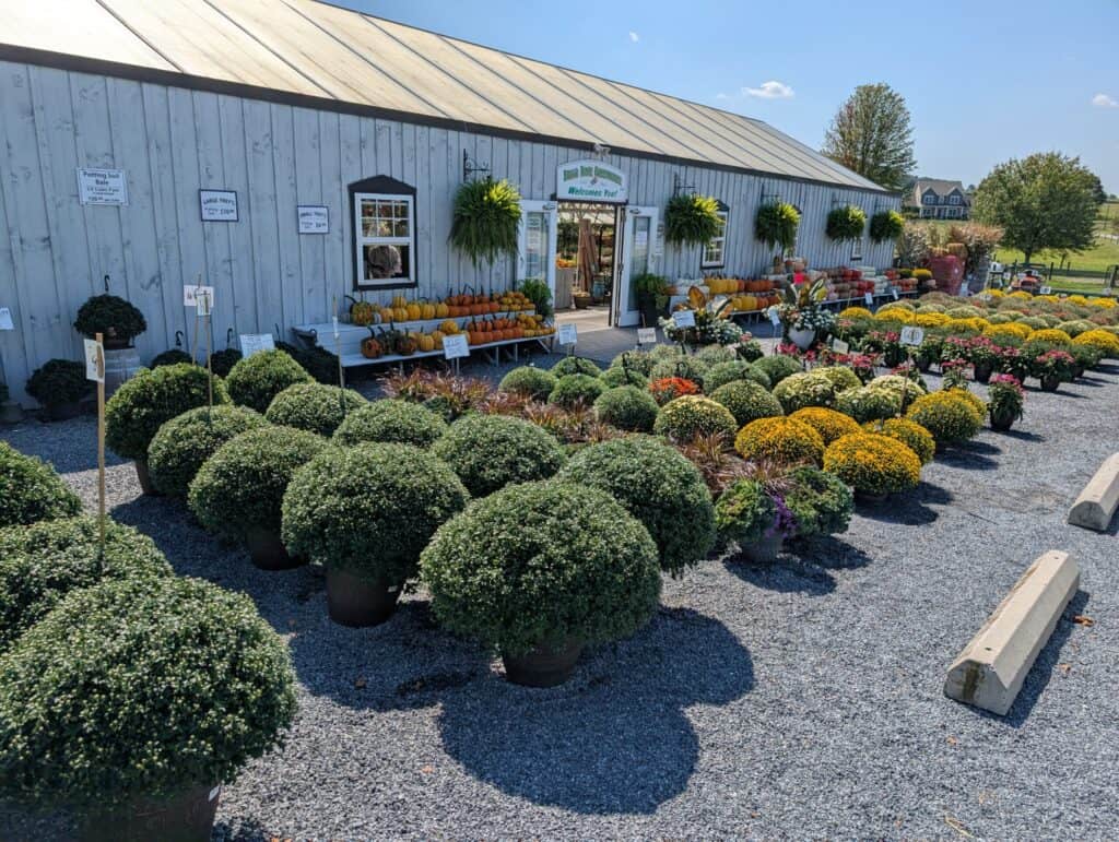 Briar Rose Greenhouse (44)