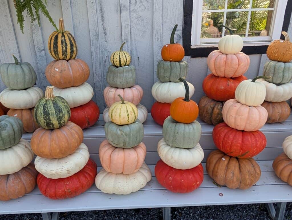 Briar Rose Greenhouse (46)