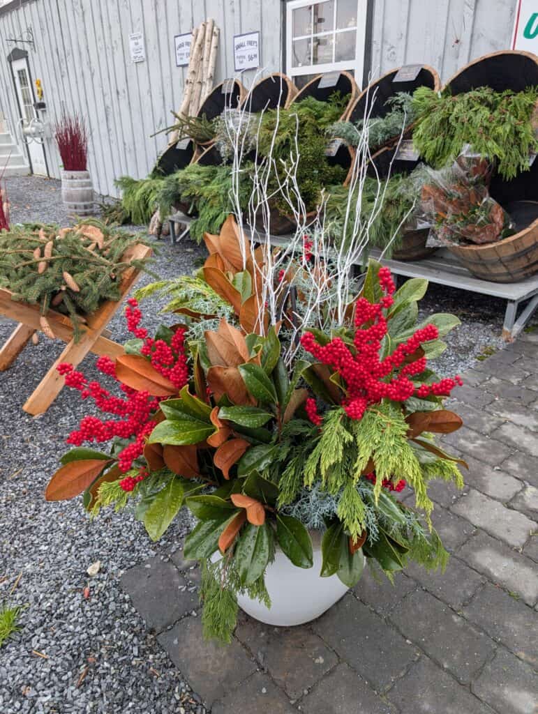 Briar Rose Greenhouse (48)