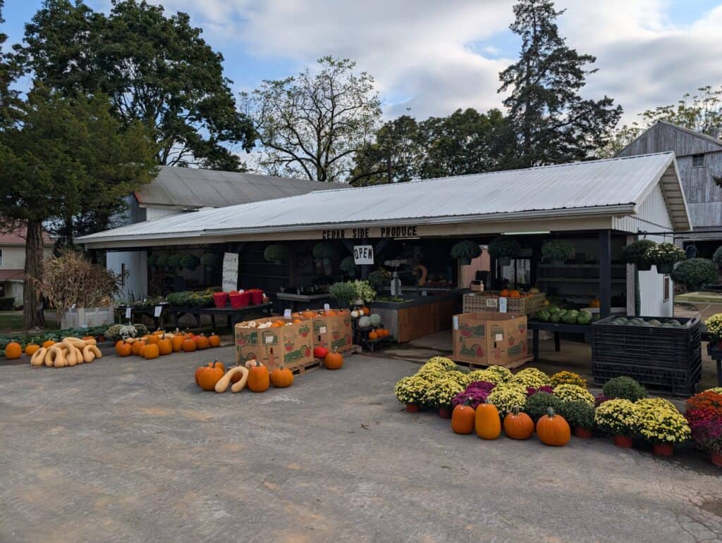 Cedar Side Produce & Greenhouse (63)