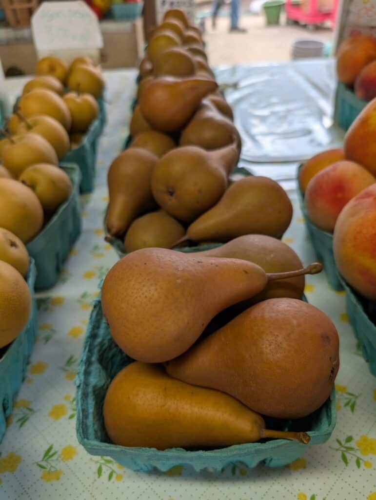 Cedar Side Produce & Greenhouse (74)