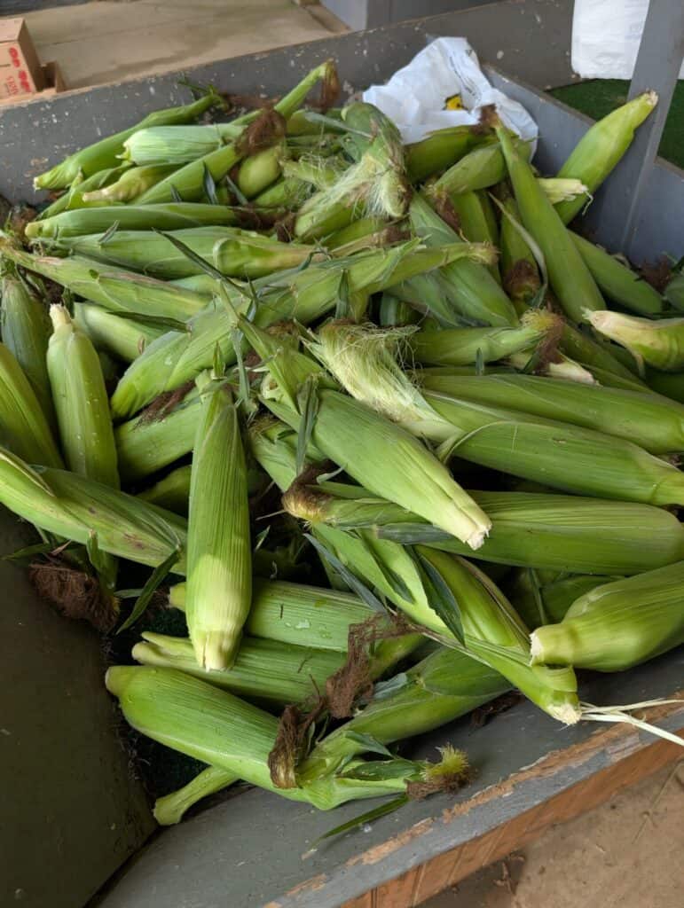 Cedar Side Produce & Greenhouse (76)