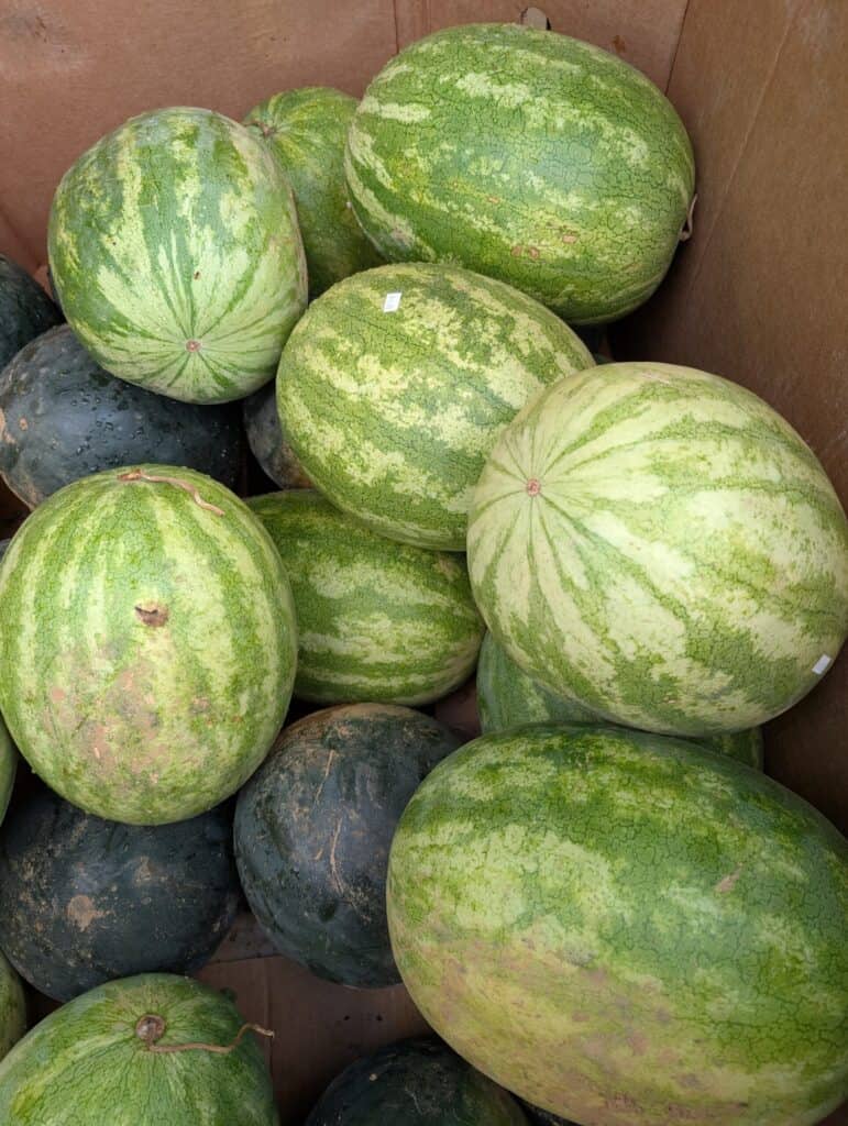 Cedar Side Produce & Greenhouse (77)