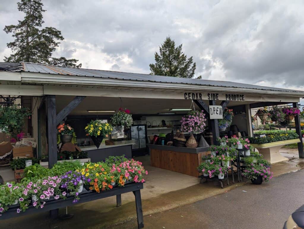 Cedar Side Produce & Greenhouse (85)