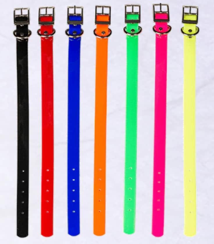 DBLH Enterprises Dayglo Collars
