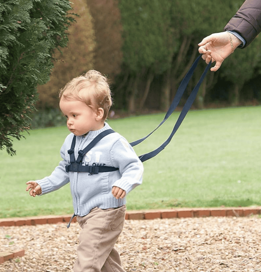 DBLH Enterprises Kids' Play Harness