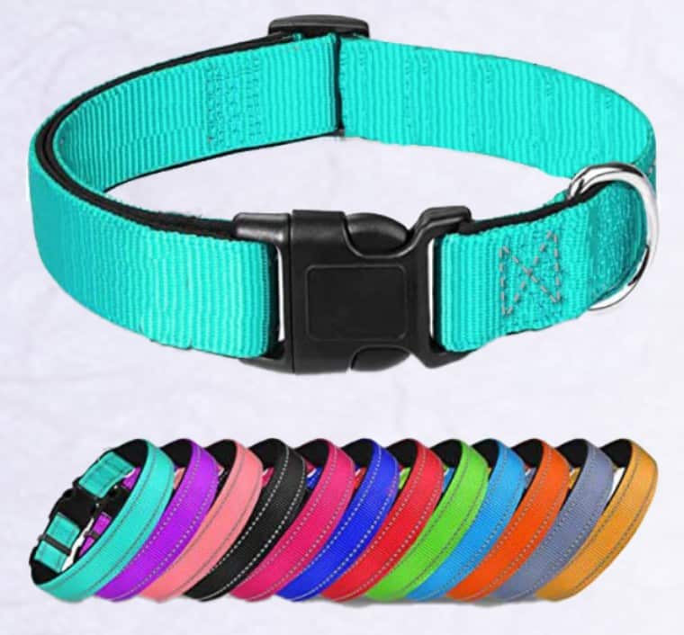 DBLH Enterprises Leashes