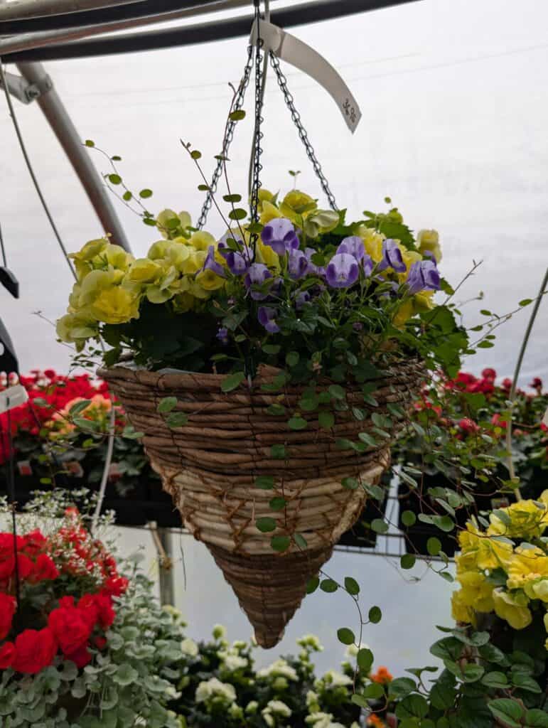 Landisville Greenhouse (12)