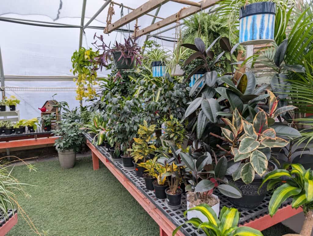 Landisville Greenhouse (14)