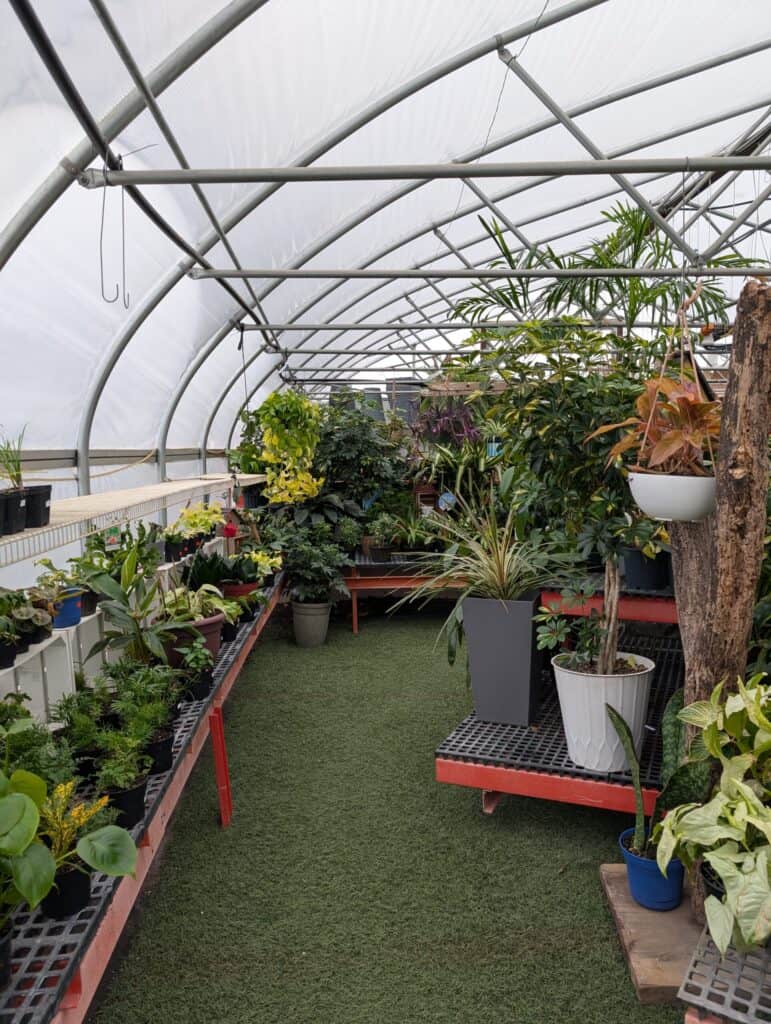 Landisville Greenhouse (15)