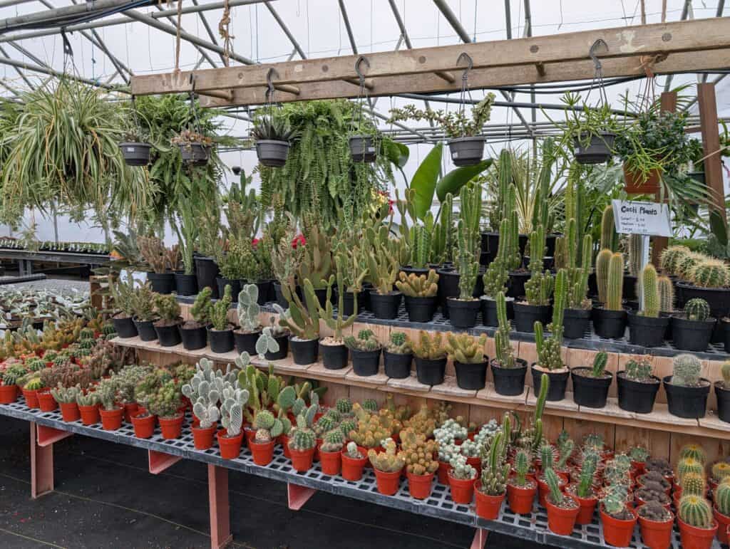 Landisville Greenhouse (17)