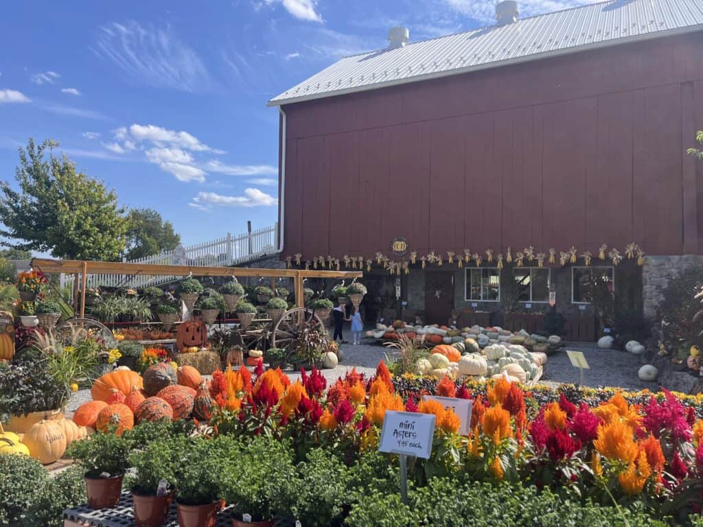 Landisville Greenhouse (19)