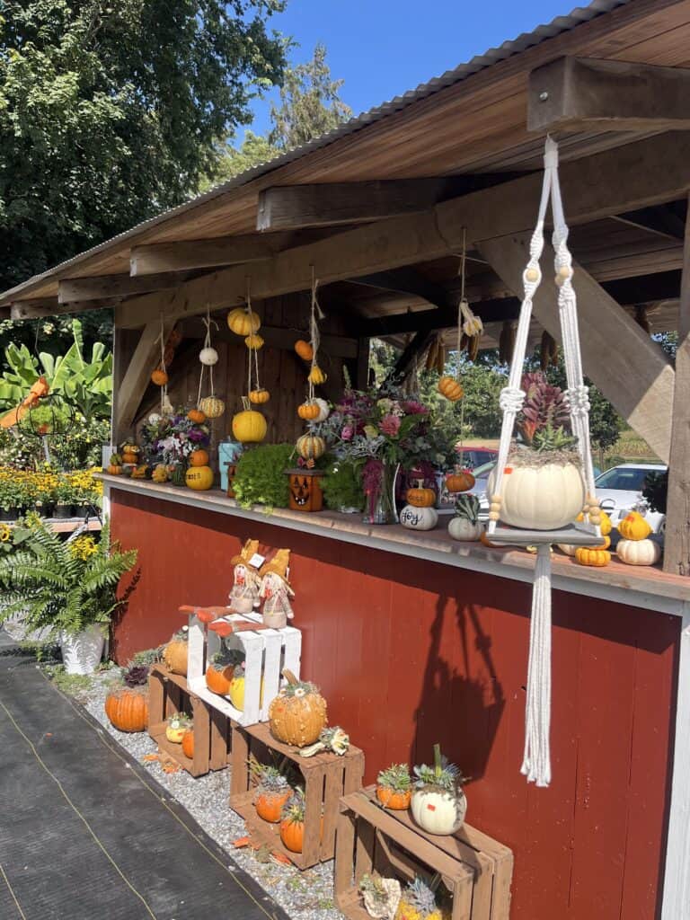 Landisville Greenhouse (20)