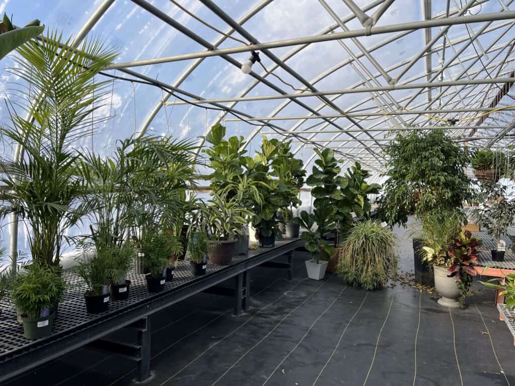 Landisville Greenhouse (3)