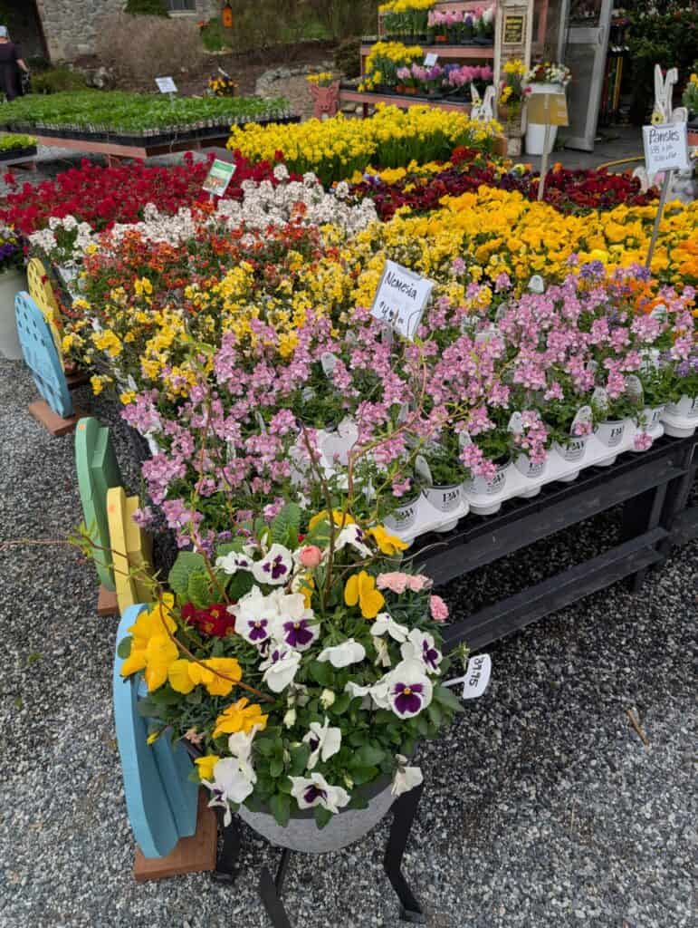 Landisville Greenhouse (9)