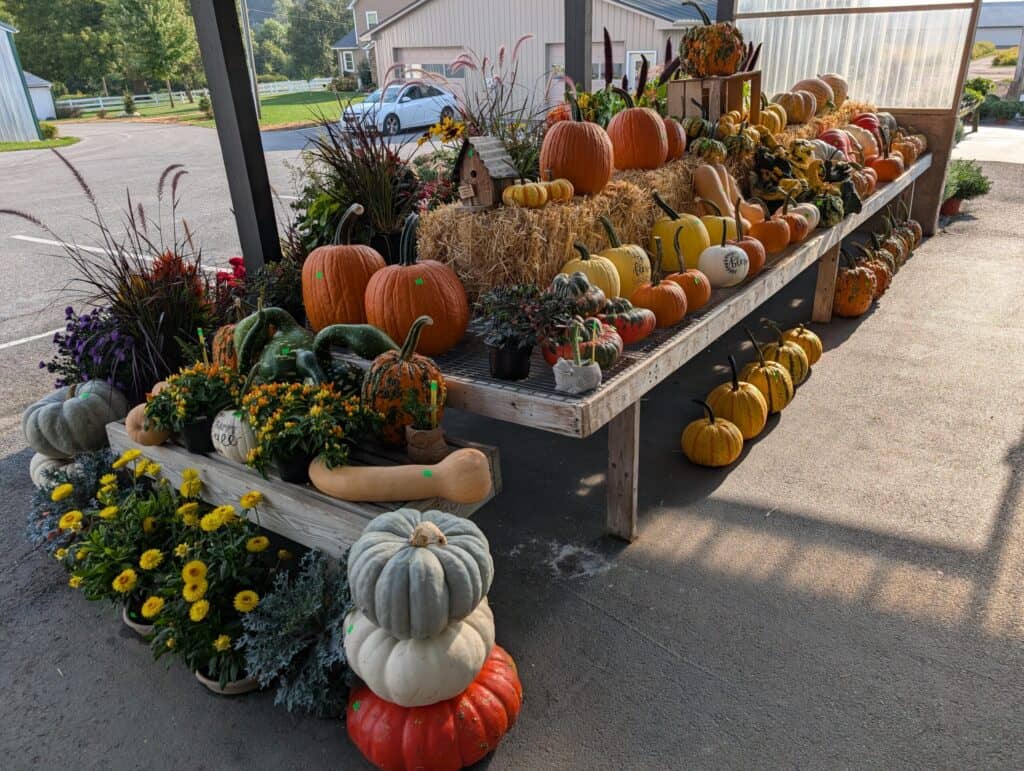 Leid's Greenhouse (28)