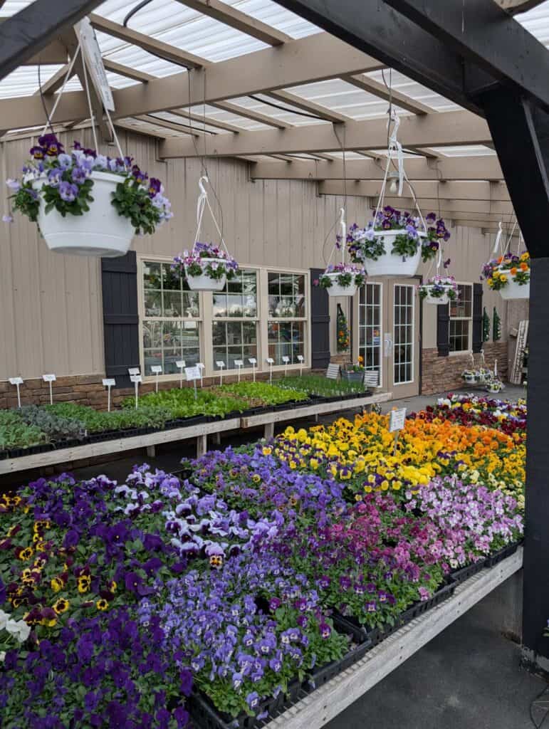 Leid's Greenhouse (9)