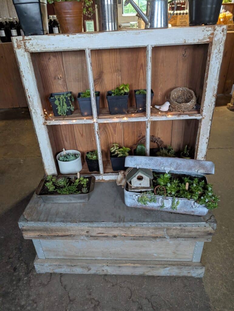 Olde Heritage Homemade Root Beer & Gift Shop (1)