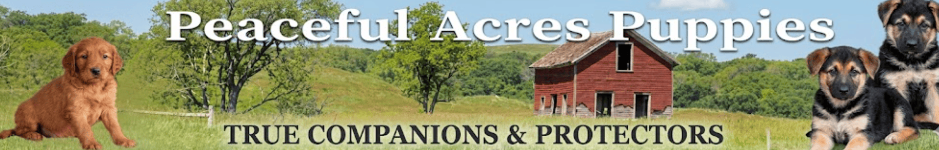 Peaceful Acres Puppies Logo