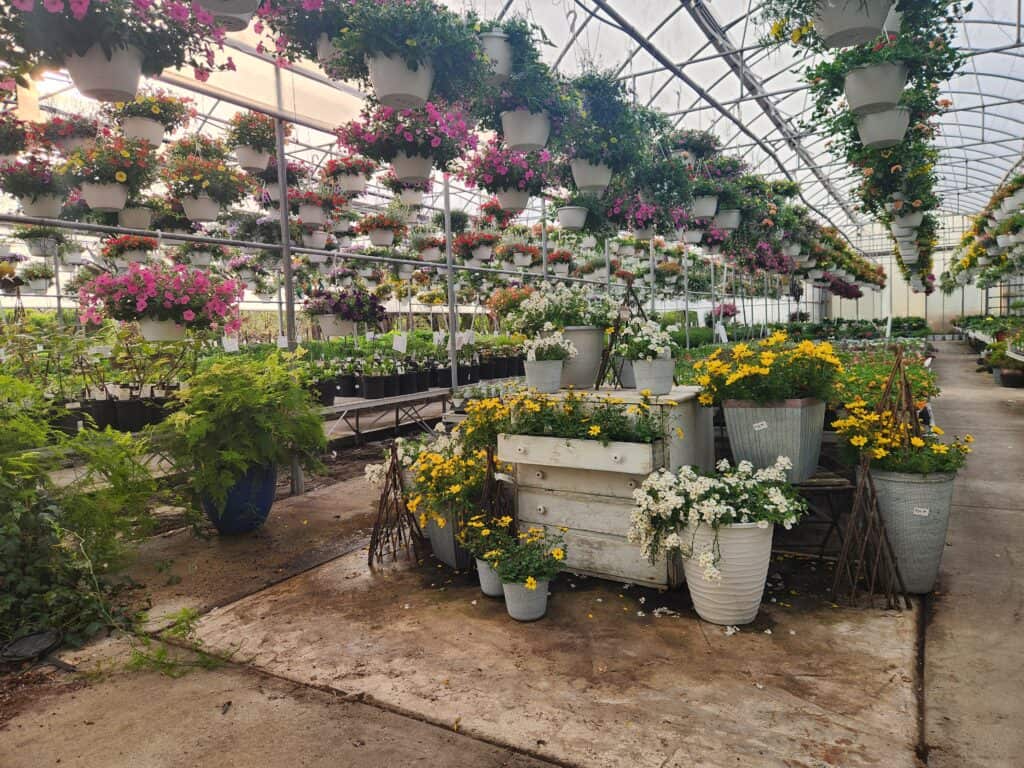 Piney Creek Greenhouse (1)