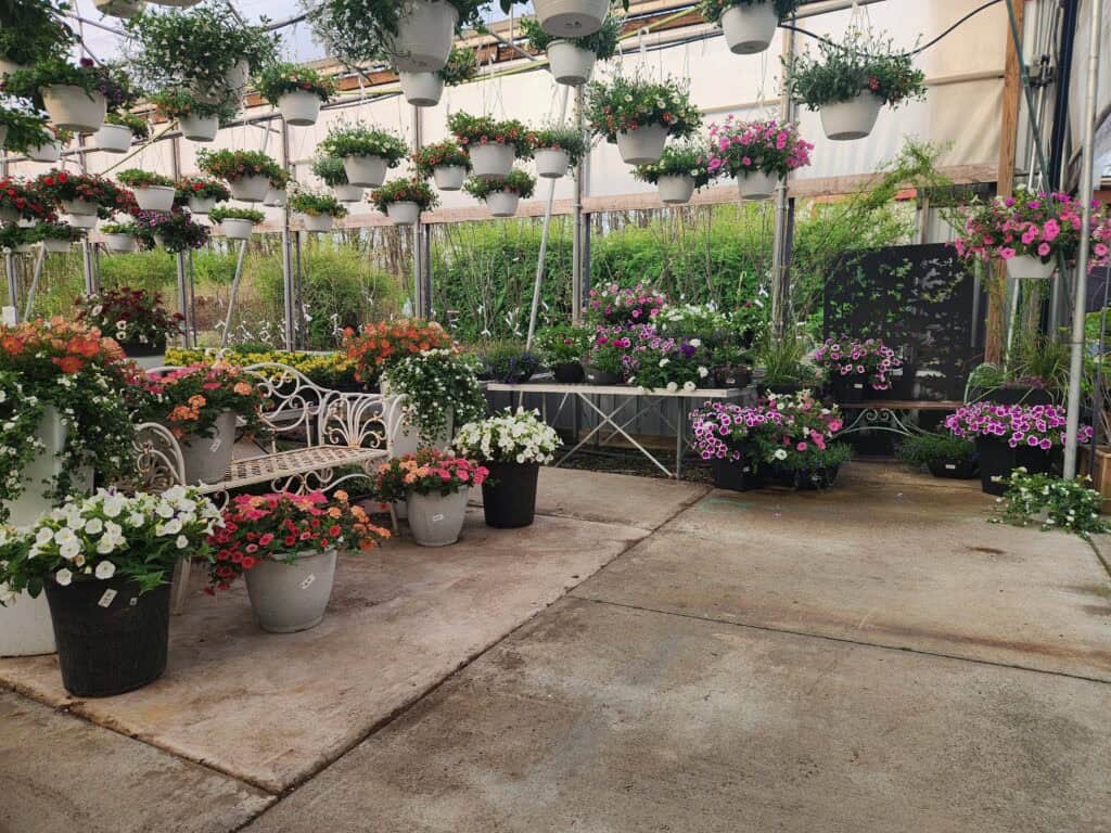 Piney Creek Greenhouse (2)