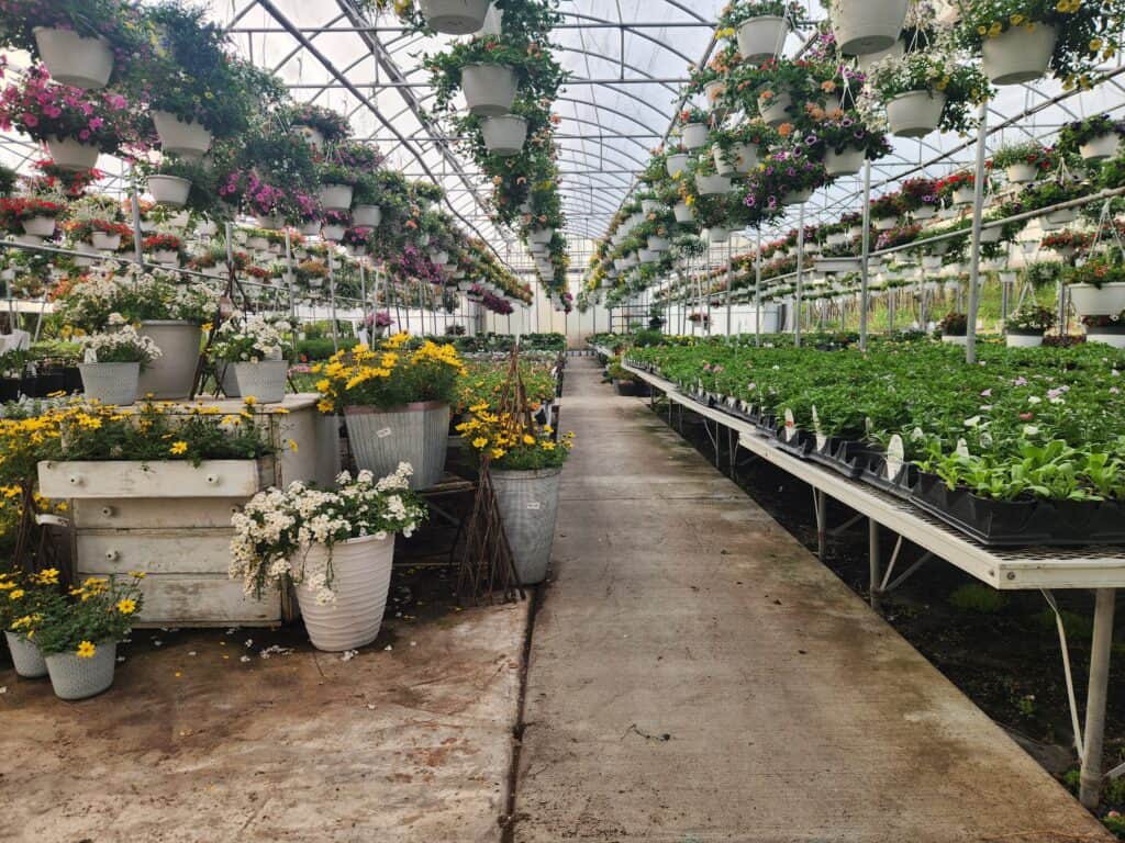 Piney Creek Greenhouse (3)
