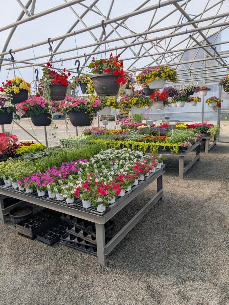 Red Barn Market (60)