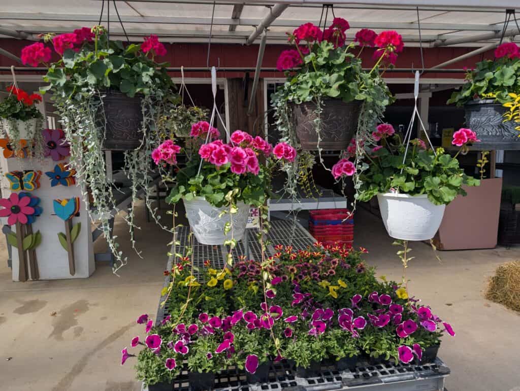 Red Barn Market (61)