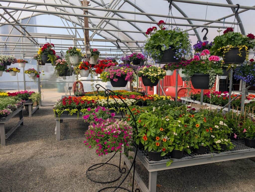 Red Barn Market (67)