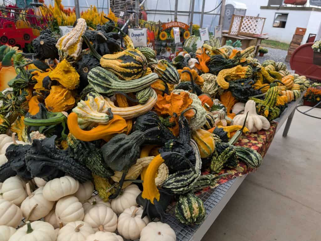 Red Barn Market (84)
