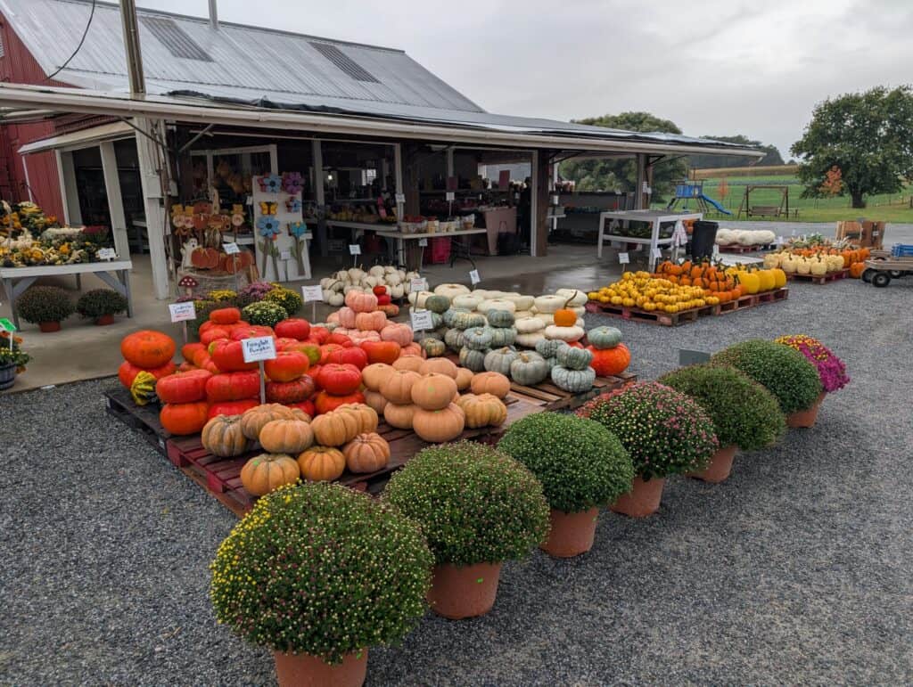Red Barn Market (85)