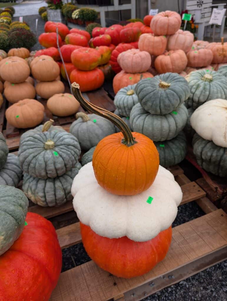 Red Barn Market (92)