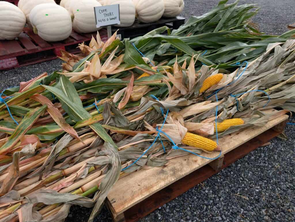 Red Barn Market (93)