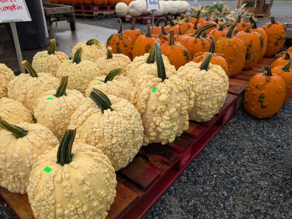 Red Barn Market (94)