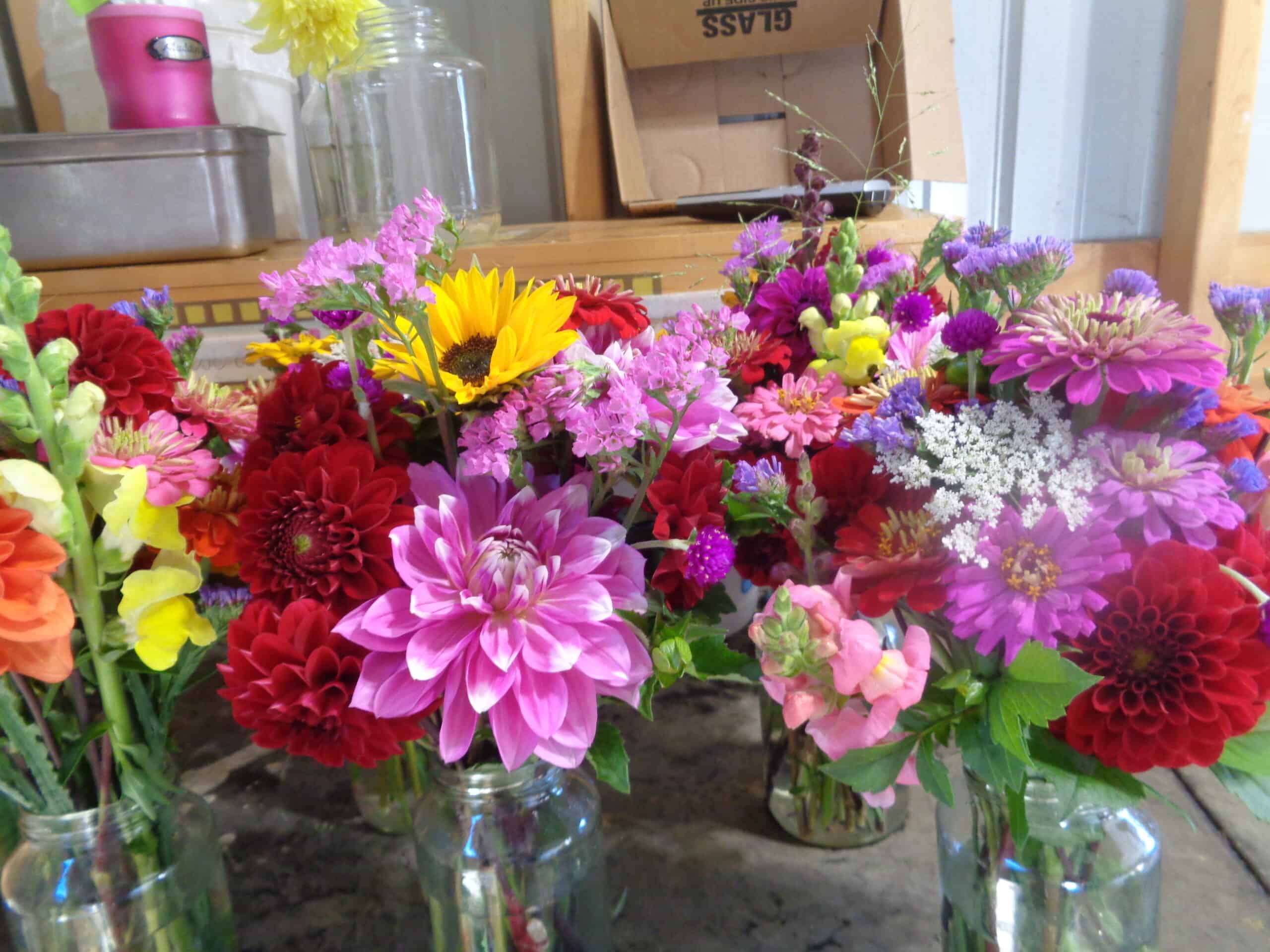 Winding Creek Produce (19)