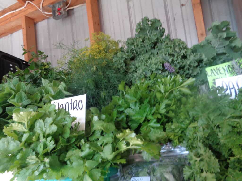 Winding Creek Produce (20)