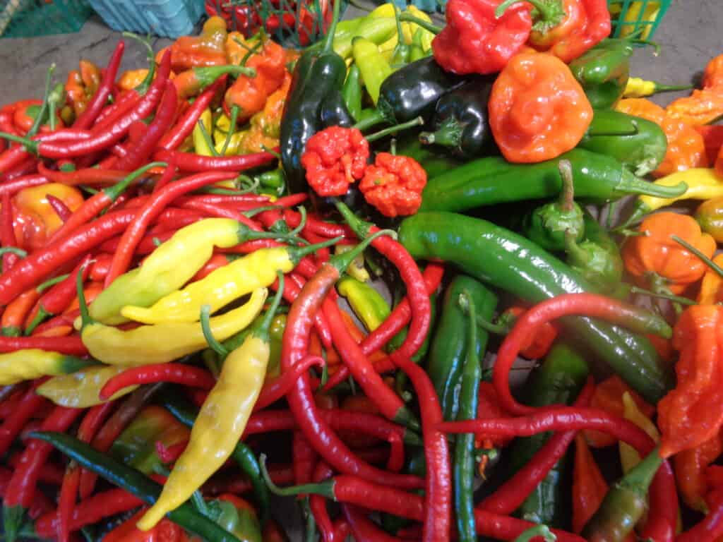 Winding Creek Produce (21)