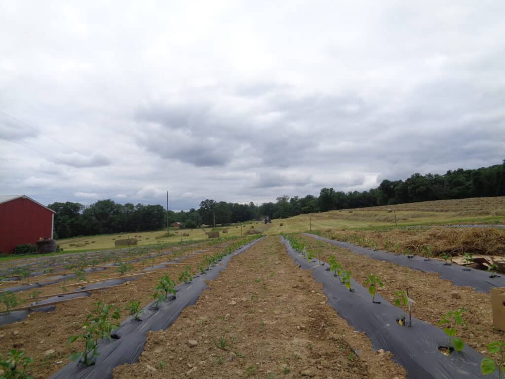 Winding Creek Produce (22)