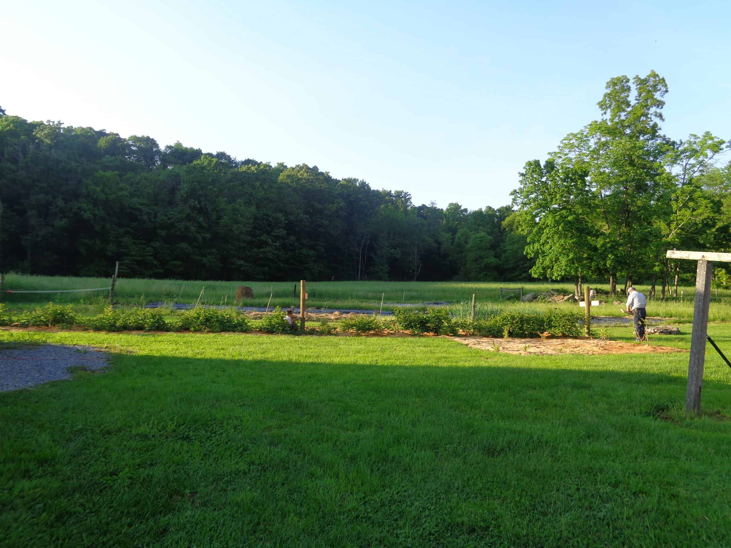 Winding Creek Produce (8)