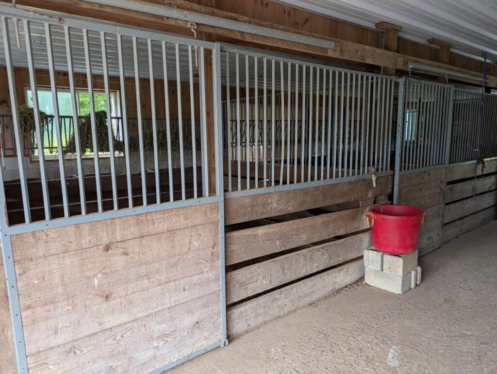 Eli Stoltzfus Horse Boarding (4)