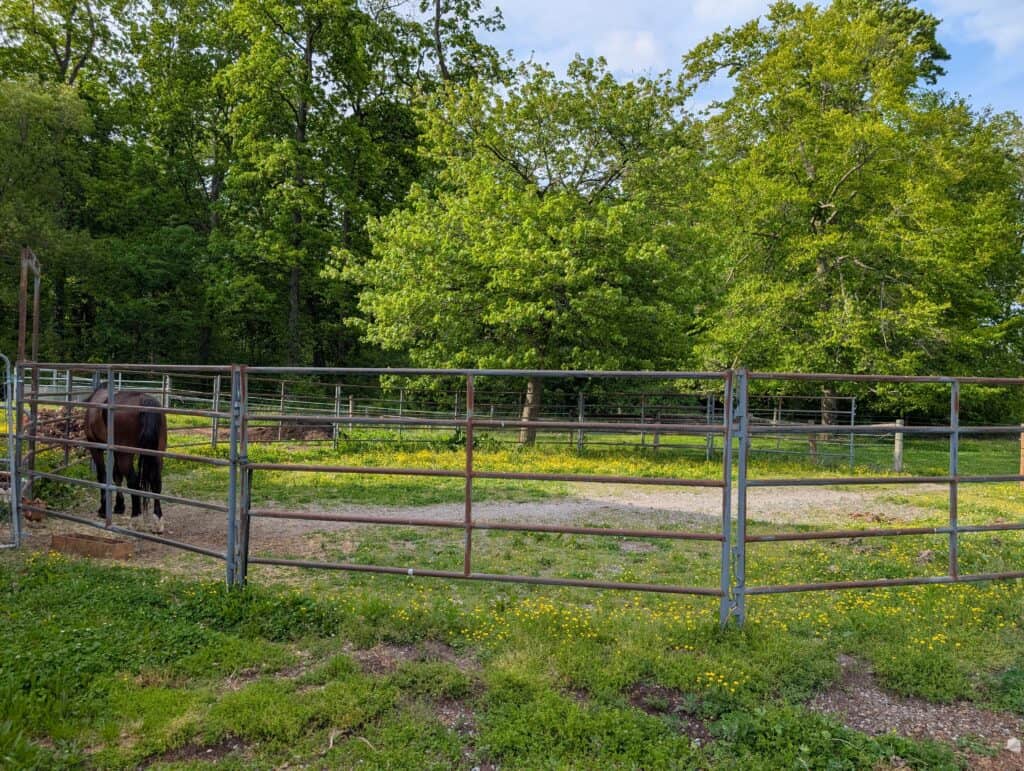 Eli Stoltzfus Horse Boarding (8)