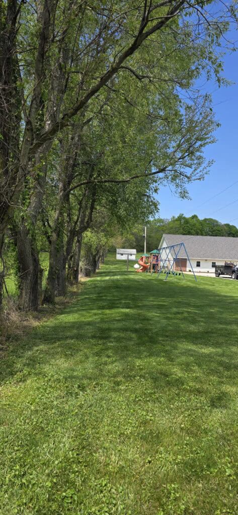 Precision Tree Care (1)