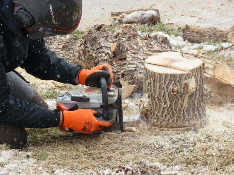 Tree Service