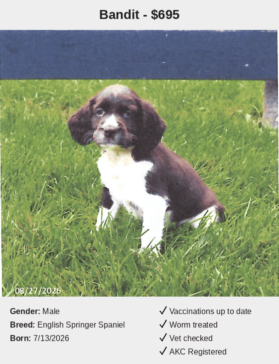 Peaceful Acres Puppies Bandit Card