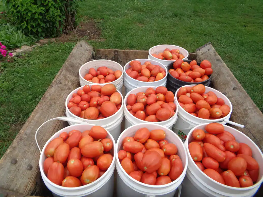 Winding creek produce